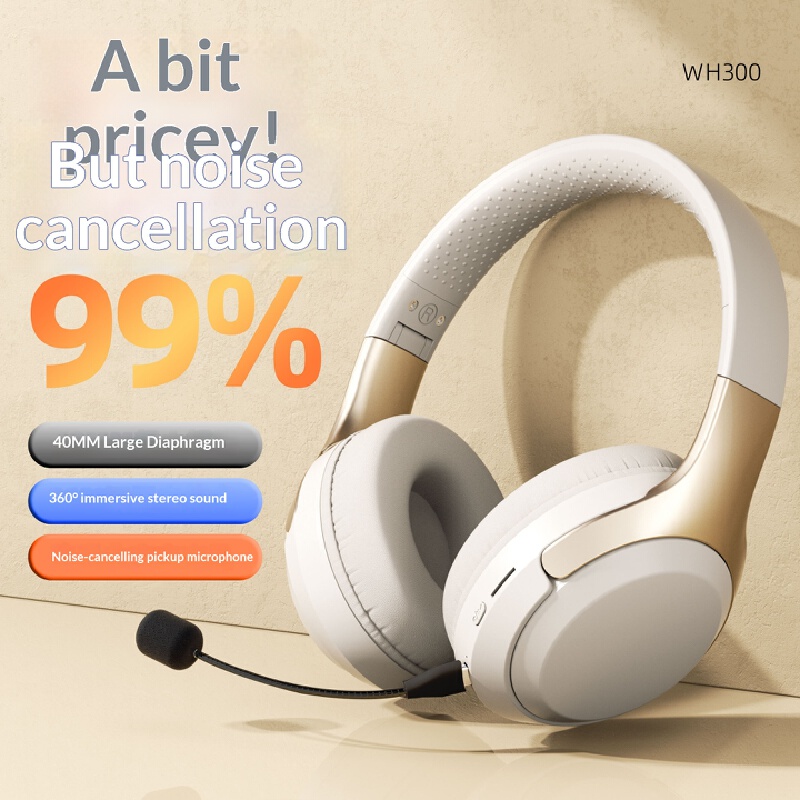 Over Ear Wireless Bluetooth He - Laptop Accessories Officeworks recension och pris