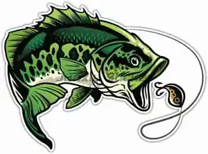 Perch Fishing Stickers Window  - Laptop Accessories Box recension och pris